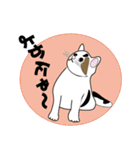 なまる猫たち（個別スタンプ：31）