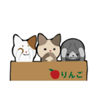 オールねこ 2nd（個別スタンプ：37）