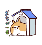 柴犬の「まるしば」vol.2（個別スタンプ：9）