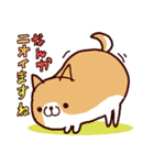 柴犬の「まるしば」vol.2（個別スタンプ：23）