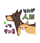 柴犬の「まるしば」vol.2（個別スタンプ：27）