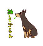 柴犬の「まるしば」vol.2（個別スタンプ：28）