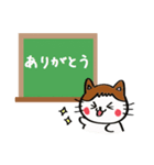 三毛猫みーたん2（個別スタンプ：1）