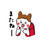 三毛猫みーたん2（個別スタンプ：13）