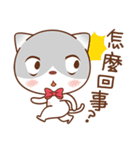 Sir Meow（個別スタンプ：21）