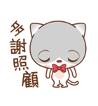 Sir Meow（個別スタンプ：40）