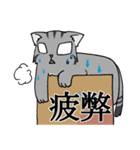 にゃんどく ～難読漢字猫（個別スタンプ：10）