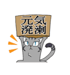 にゃんどく ～難読漢字猫（個別スタンプ：15）