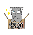 にゃんどく ～難読漢字猫（個別スタンプ：17）