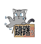 にゃんどく ～難読漢字猫（個別スタンプ：18）