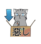 にゃんどく ～難読漢字猫（個別スタンプ：19）