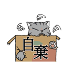 にゃんどく ～難読漢字猫（個別スタンプ：38）