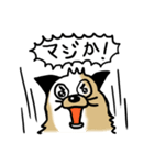 保護犬クッキーのスタンプ（個別スタンプ：15）