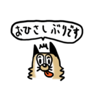 保護犬クッキーのスタンプ（個別スタンプ：27）