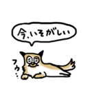 保護犬クッキーのスタンプ（個別スタンプ：28）