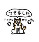 保護犬クッキーのスタンプ（個別スタンプ：30）