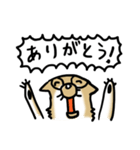 保護犬クッキーのスタンプ（個別スタンプ：33）