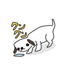 ありがちシーズー犬（個別スタンプ：9）