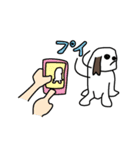 ありがちシーズー犬（個別スタンプ：21）