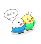 インコとにゃんこ。（個別スタンプ：21）