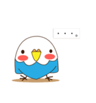 インコとにゃんこ。（個別スタンプ：24）