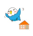 インコとにゃんこ。（個別スタンプ：31）