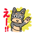 ジャグラー犬 ゴン太くん（個別スタンプ：36）