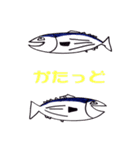 枕崎のかつぅーお（個別スタンプ：22）