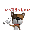 3D animal Faithful dog（個別スタンプ：10）