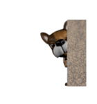 3D animal Faithful dog（個別スタンプ：20）