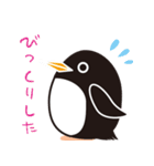 Penguins by shiningflower（個別スタンプ：15）