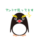 Penguins by shiningflower（個別スタンプ：39）