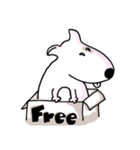 Arron the Bull Terrier（個別スタンプ：13）