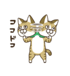 ななねこ5（個別スタンプ：15）