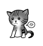 Memo, the Lovable Cat（個別スタンプ：14）