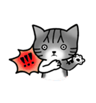 Memo, the Lovable Cat（個別スタンプ：17）