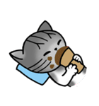 Memo, the Lovable Cat（個別スタンプ：37）