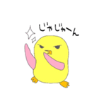 Piyo Bird！（個別スタンプ：17）