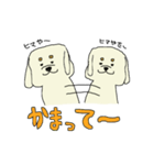 ゆる犬シロゥ。（個別スタンプ：16）