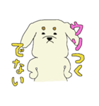 ゆる犬シロゥ。（個別スタンプ：18）