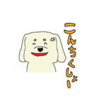 ゆる犬シロゥ。（個別スタンプ：24）