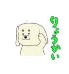 ゆる犬シロゥ。（個別スタンプ：35）