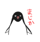 全部ペンギン（個別スタンプ：14）