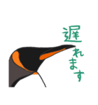 全部ペンギン（個別スタンプ：16）