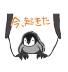 全部ペンギン（個別スタンプ：18）