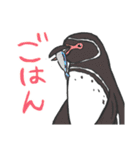 全部ペンギン（個別スタンプ：25）