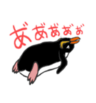 全部ペンギン（個別スタンプ：29）