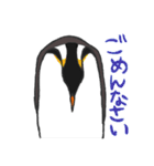 全部ペンギン（個別スタンプ：32）