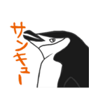 全部ペンギン（個別スタンプ：33）