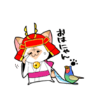 武士ねこ（個別スタンプ：1）